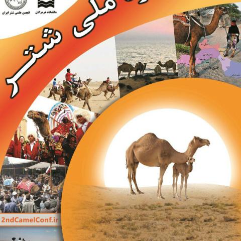 مجله خبری